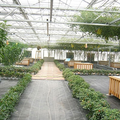 生态餐厅