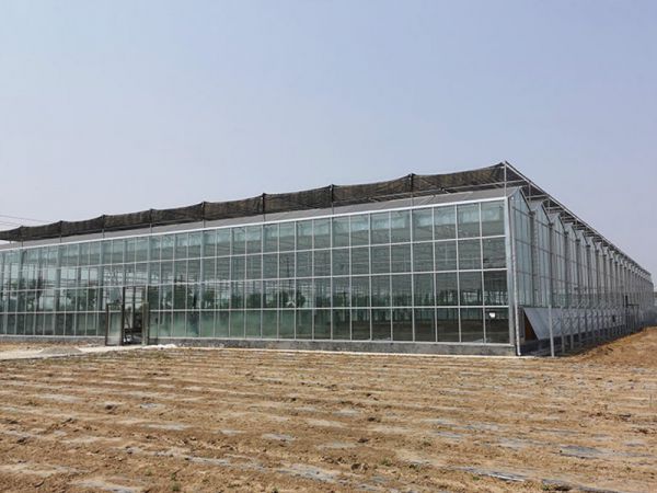 玻璃温室大棚