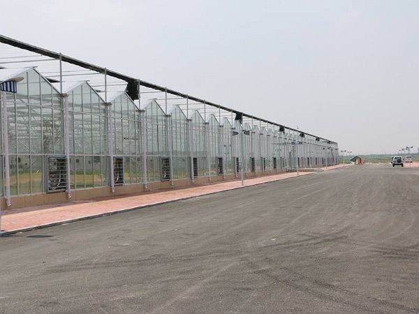 玻璃温室大棚