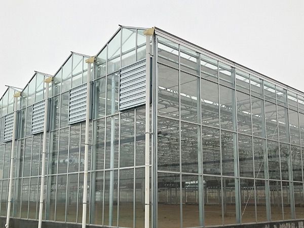 玻璃温室大棚
