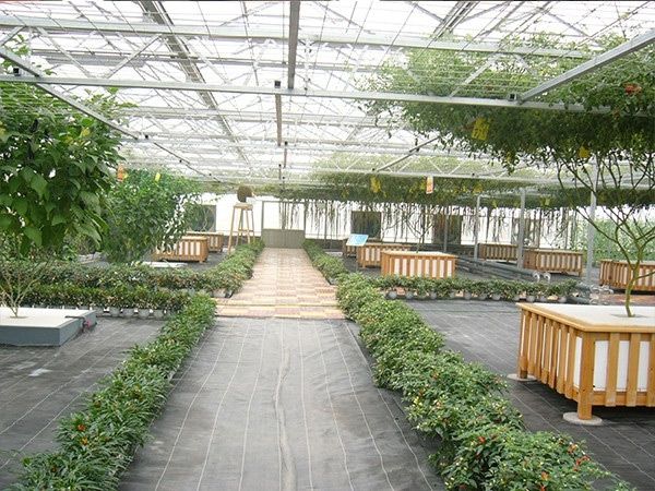 生态餐厅