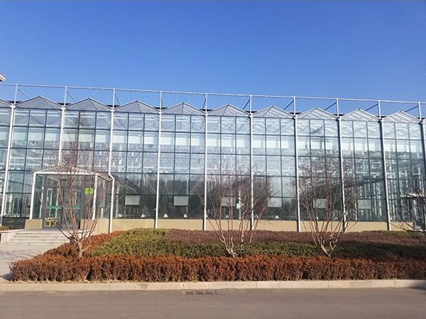 连栋温室大棚