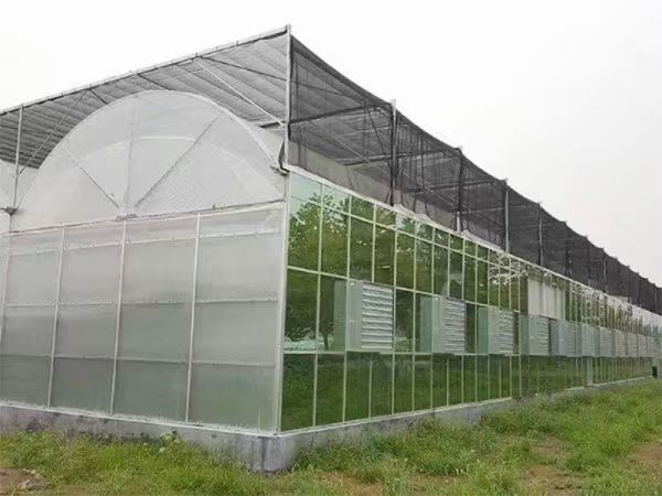 客户案例现场